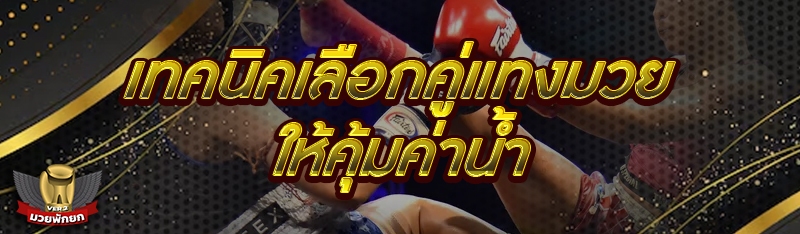 เทคนิคเลือกคู่แทงมวย ให้คุ้มค่าน้ำ