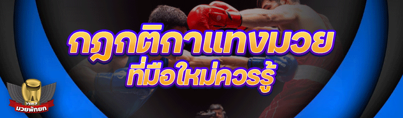 กฎกติกาแทงมวย ที่มือใหม่ควรรู้