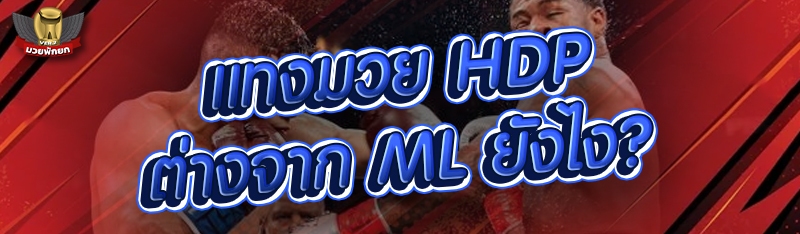แทงมวย HDP ต่างจาก ML ยังไง?