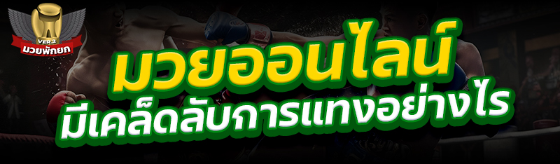 มวยออนไลน์ มีเคล็ดลับการแทงอย่