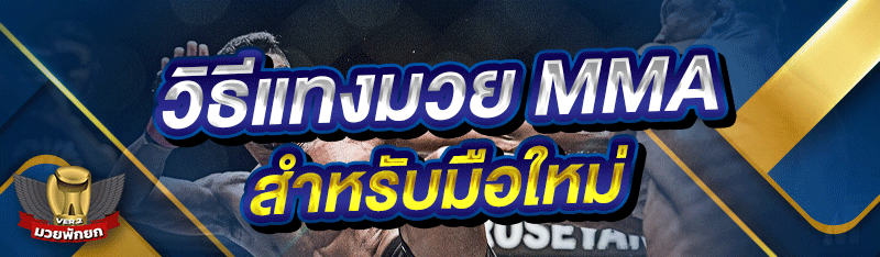 วิธีแทงมวย MMA สำหรับมือใหม่