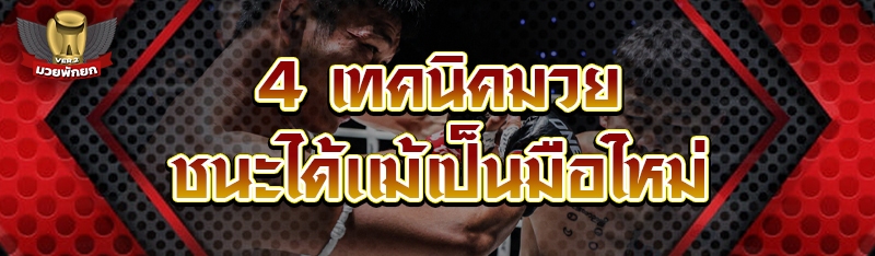 4 เทคนิคมวย ชนะได้เเม้เป็นมือใ