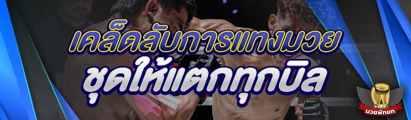 เคล็ดลับการแทงมวยชุดให้แตกทุกบิล