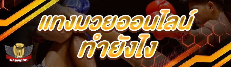 แทงมวยออนไลน์ ทำยังไง