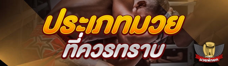 ประเภทมวย ที่ควรทราบ