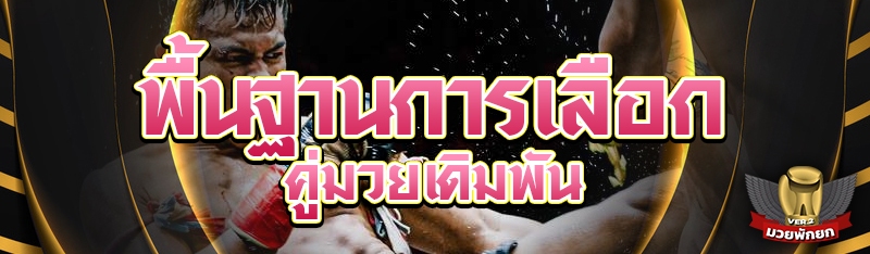 พื้นฐานการเลือกคู่มวยเดิมพัน