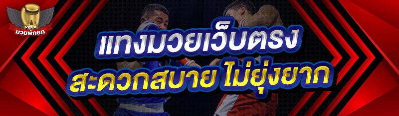 แทงมวยเว็บตรง สะดวกสบาย ไม่ยุ่งยาก